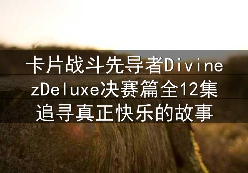 卡片战斗先导者DivinezDeluxe决赛篇全12集追寻真正快乐的故事