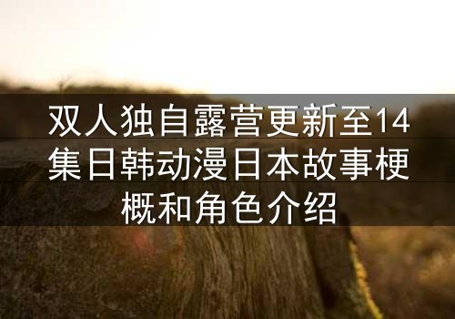 双人独自露营更新至14集日韩动漫日本故事梗概和角色介绍