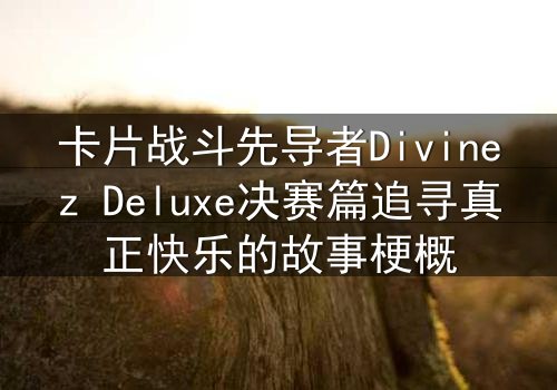 卡片战斗先导者Divinez Deluxe决赛篇追寻真正快乐的故事梗概
