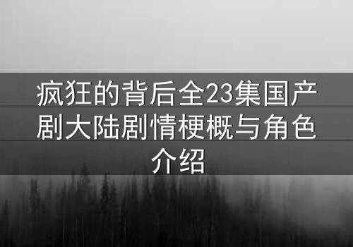 疯狂的背后全23集国产剧大陆剧情梗概与角色介绍