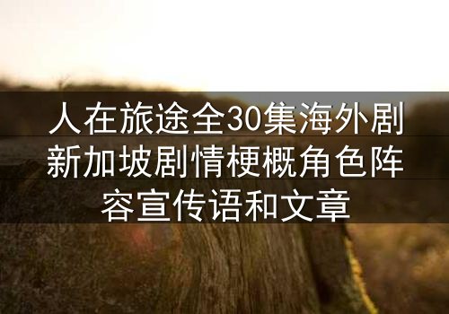 人在旅途全30集海外剧新加坡剧情梗概角色阵容宣传语和文章