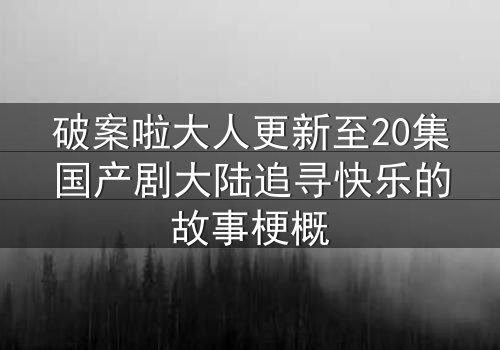 破案啦大人更新至20集国产剧大陆追寻快乐的故事梗概