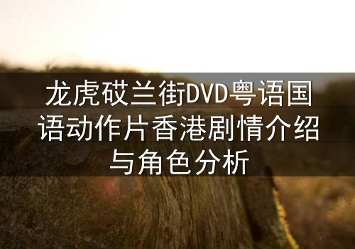 龙虎砹兰街DVD粤语国语动作片香港剧情介绍与角色分析