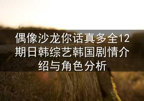 偶像沙龙你话真多全12期日韩综艺韩国剧情介绍与角色分析