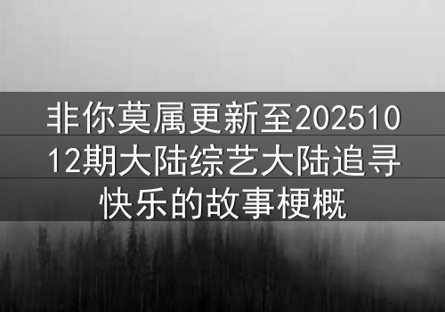 非你莫属更新至20251012期大陆综艺大陆追寻快乐的故事梗概
