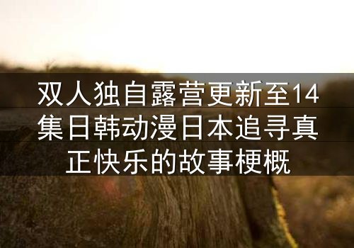 双人独自露营更新至14集日韩动漫日本追寻真正快乐的故事梗概