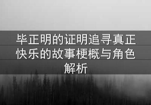 毕正明的证明追寻真正快乐的故事梗概与角色解析