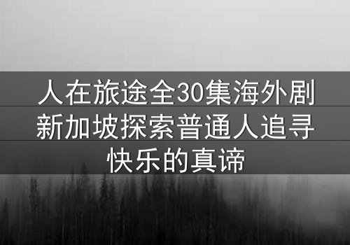 人在旅途全30集海外剧新加坡探索普通人追寻快乐的真谛