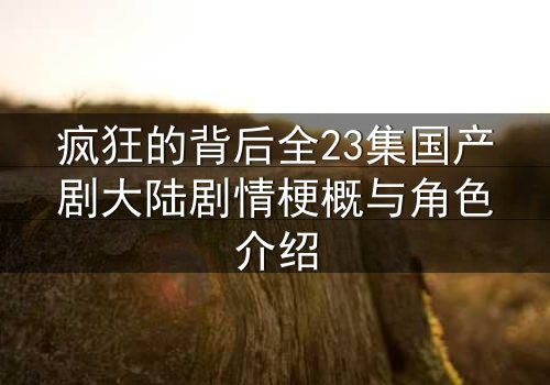 疯狂的背后全23集国产剧大陆剧情梗概与角色介绍