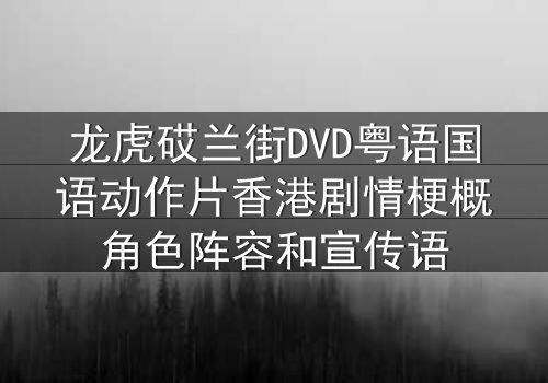 龙虎砹兰街DVD粤语国语动作片香港剧情梗概角色阵容和宣传语