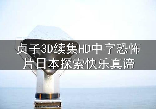 贞子3D续集HD中字恐怖片日本探索快乐真谛