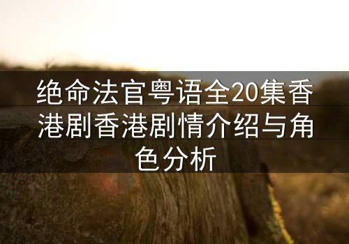 绝命法官粤语全20集香港剧香港剧情介绍与角色分析