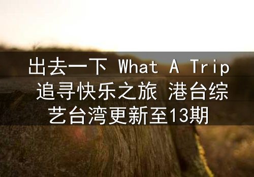 出去一下 What A Trip 追寻快乐之旅 港台综艺台湾更新至13期