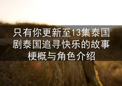 只有你更新至13集泰国剧泰国追寻快乐的故事梗概与角色介绍