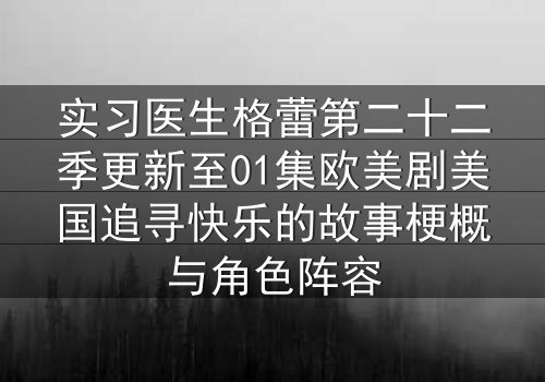 实习医生格蕾第二十二季更新至01集欧美剧美国追寻快乐的故事梗概与角色阵容