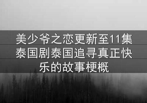 美少爷之恋更新至11集泰国剧泰国追寻真正快乐的故事梗概