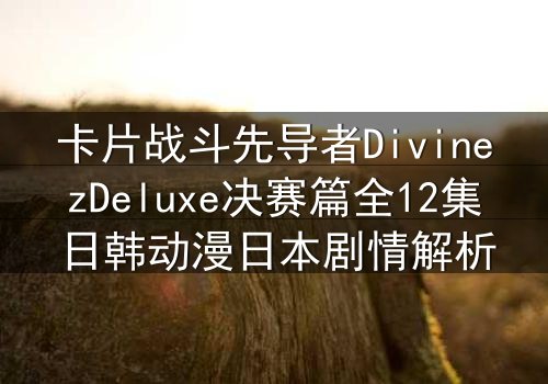 卡片战斗先导者DivinezDeluxe决赛篇全12集日韩动漫日本剧情解析