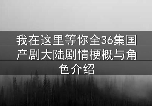 我在这里等你全36集国产剧大陆剧情梗概与角色介绍