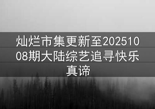 灿烂市集更新至20251008期大陆综艺追寻快乐真谛