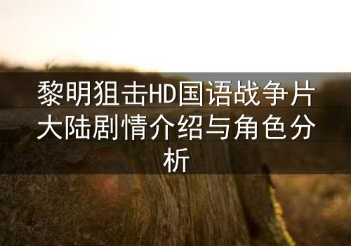 黎明狙击HD国语战争片大陆剧情介绍与角色分析