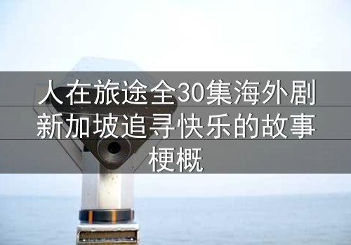 人在旅途全30集海外剧新加坡追寻快乐的故事梗概