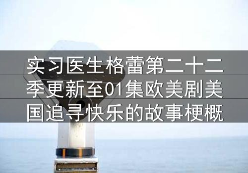 实习医生格蕾第二十二季更新至01集欧美剧美国追寻快乐的故事梗概