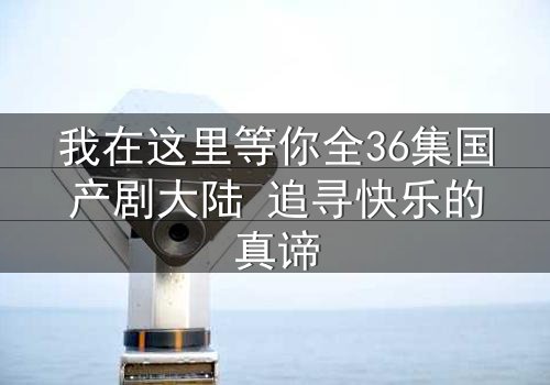 我在这里等你全36集国产剧大陆 追寻快乐的真谛