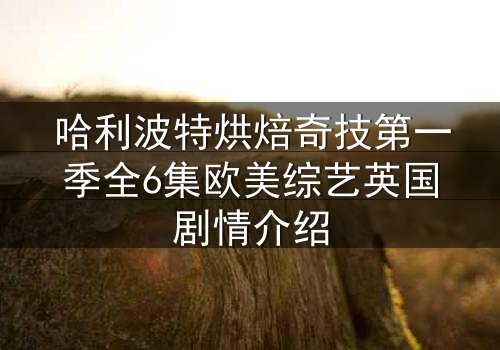 哈利波特烘焙奇技第一季全6集欧美综艺英国剧情介绍