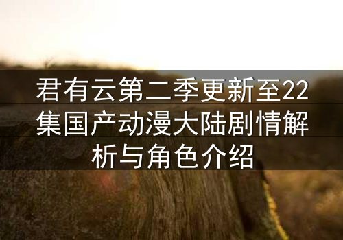 君有云第二季更新至22集国产动漫大陆剧情解析与角色介绍
