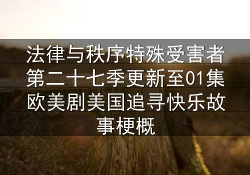 法律与秩序特殊受害者第二十七季更新至01集欧美剧美国追寻快乐故事梗概
