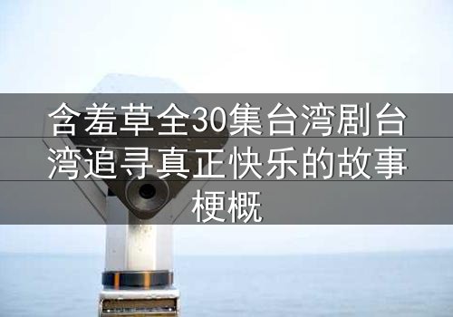 含羞草全30集台湾剧台湾追寻真正快乐的故事梗概