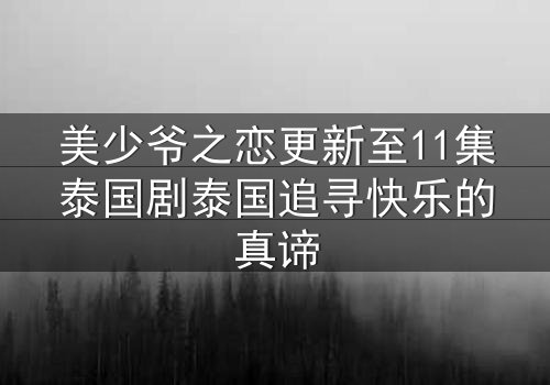 美少爷之恋更新至11集泰国剧泰国追寻快乐的真谛