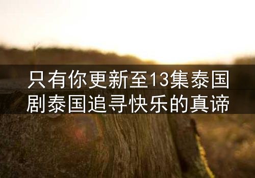 只有你更新至13集泰国剧泰国追寻快乐的真谛