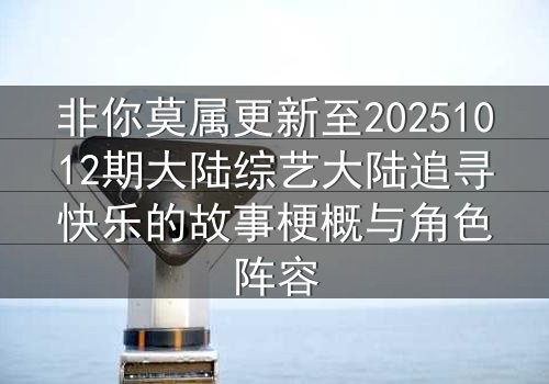 非你莫属更新至20251012期大陆综艺大陆追寻快乐的故事梗概与角色阵容