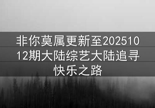 非你莫属更新至20251012期大陆综艺大陆追寻快乐之路
