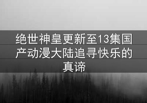 绝世神皇更新至13集国产动漫大陆追寻快乐的真谛