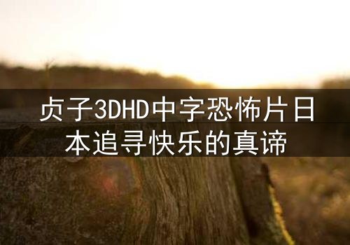 贞子3DHD中字恐怖片日本追寻快乐的真谛