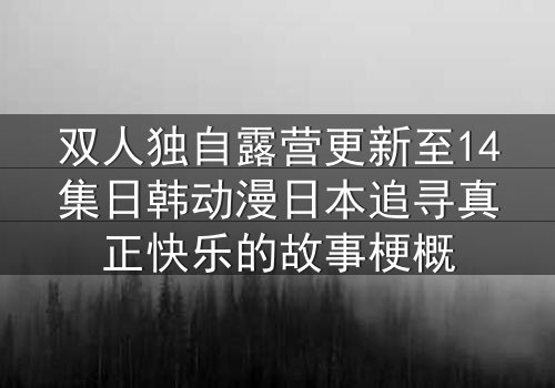 双人独自露营更新至14集日韩动漫日本追寻真正快乐的故事梗概