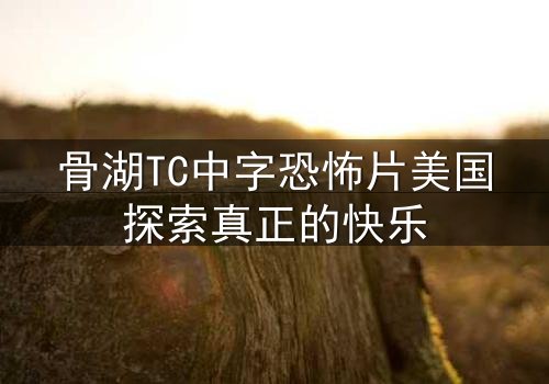 骨湖TC中字恐怖片美国探索真正的快乐