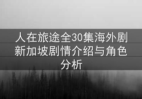 人在旅途全30集海外剧新加坡剧情介绍与角色分析