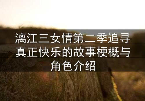 漓江三女情第二季追寻真正快乐的故事梗概与角色介绍