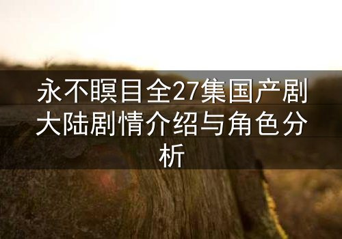 永不瞑目全27集国产剧大陆剧情介绍与角色分析