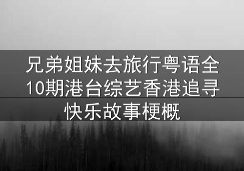 兄弟姐妹去旅行粤语全10期港台综艺香港追寻快乐故事梗概