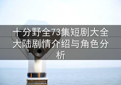 十分野全73集短剧大全大陆剧情介绍与角色分析