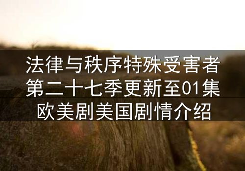 法律与秩序特殊受害者第二十七季更新至01集欧美剧美国剧情介绍