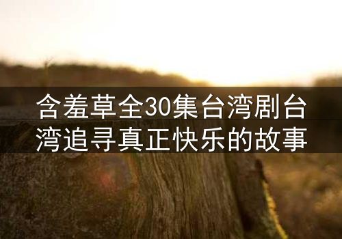 含羞草全30集台湾剧台湾追寻真正快乐的故事