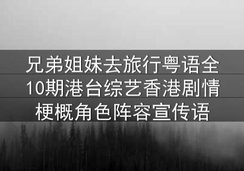 兄弟姐妹去旅行粤语全10期港台综艺香港剧情梗概角色阵容宣传语