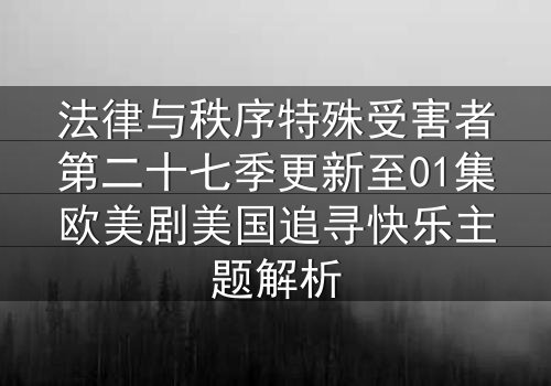 法律与秩序特殊受害者第二十七季更新至01集欧美剧美国追寻快乐主题解析