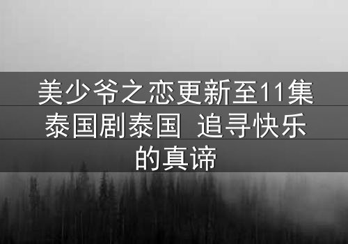 美少爷之恋更新至11集泰国剧泰国 追寻快乐的真谛