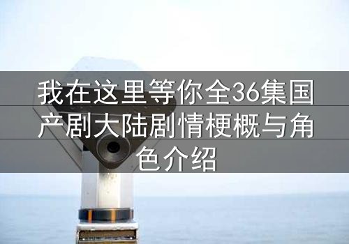 我在这里等你全36集国产剧大陆剧情梗概与角色介绍